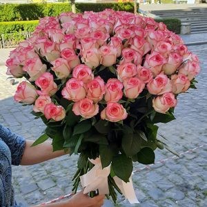 101 ніжно-рожева троянда у Франківську фото