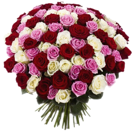 Фото товара 101 троянда "Міс Піггі" в Івано-Франківську