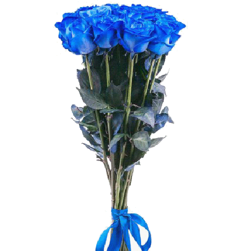 Фото товара 11 синіх троянд (фарбовані) в Івано-Франківську