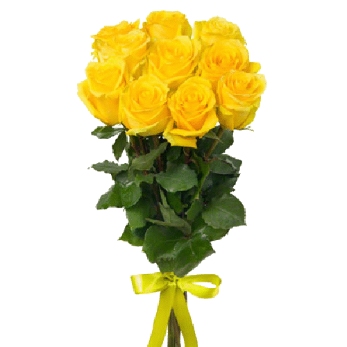 Фото товара 11 жовтих троянд в Івано-Франківську