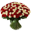Фото товара 33 червоно-кремові троянди в Івано-Франківську