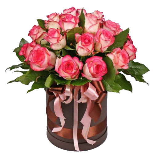 Фото товара 19 троянд "Джумілія" в капелюшній коробці в Івано-Франківську