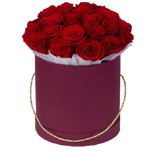 Фото товара 21 червона троянда в капелюшній коробці в Івано-Франківську