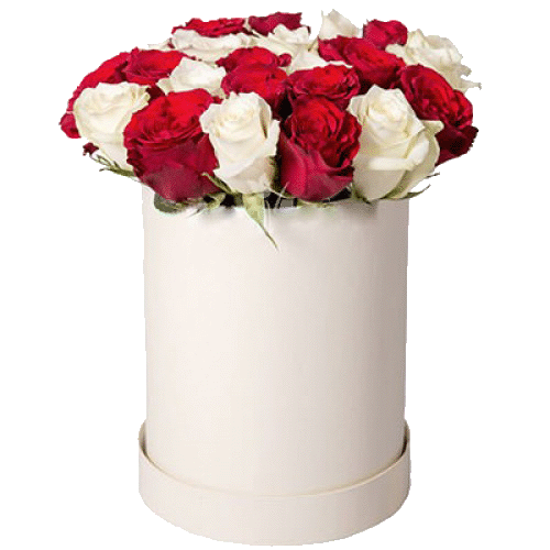 Фото товара 21 червоно-біла троянда в капелюшній коробці в Івано-Франківську