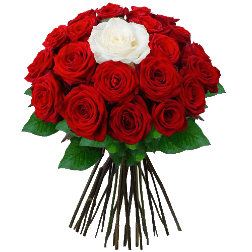 Фото товара Букет «Тобі одній» (20 червоних та 1 біла троянда) в Івано-Франківську