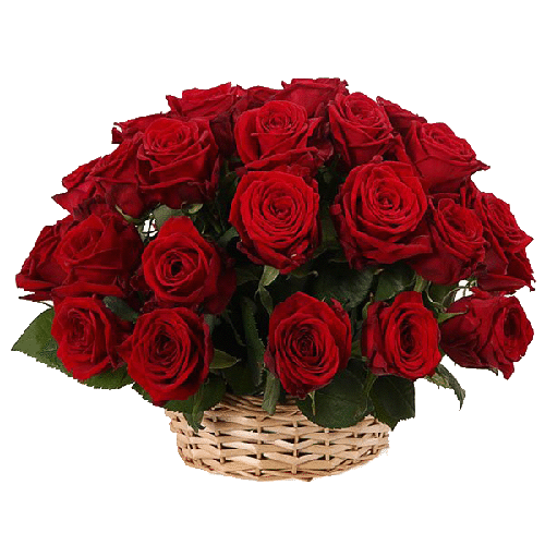 Фото товара 25 червоних троянд у кошику в Івано-Франківську
