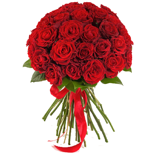 Фото товара 25 червоних троянд «El Toro» в Івано-Франківську
