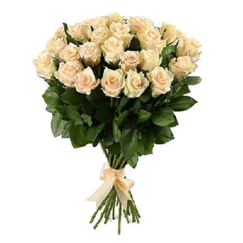 Фото товара 25 кремових троянд в Івано-Франківську