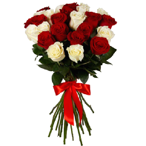 Фото товара 25 червоно-білих троянд в Івано-Франківську
