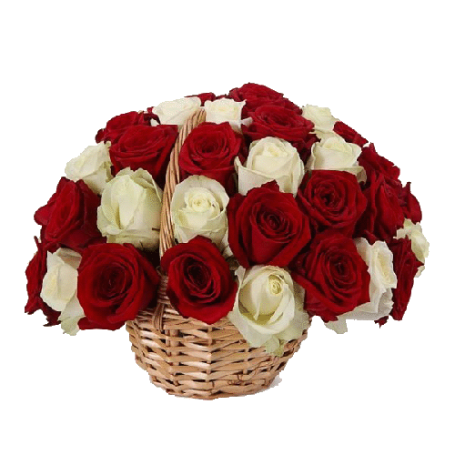 Фото товара 33 червоно-білі троянди в кошику в Івано-Франківську