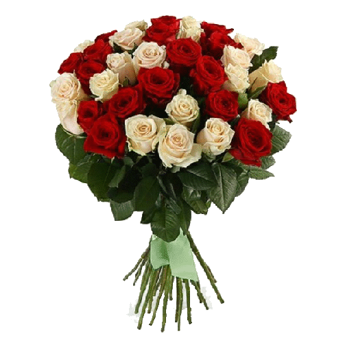 Фото товара 33 червоно-кремові троянди в Івано-Франківську