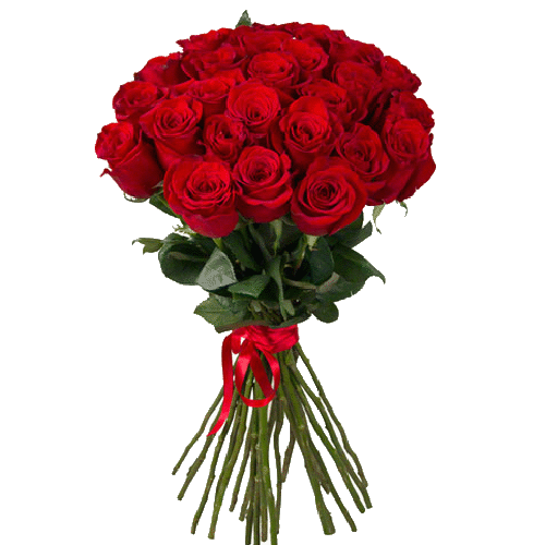 Фото товара 33 червоні троянди в Івано-Франківську