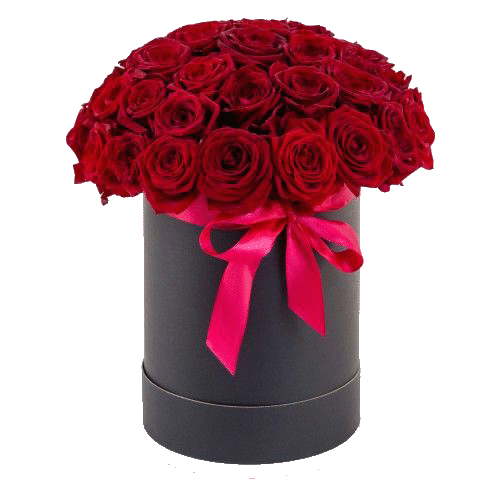 Фото товара 33 червоні троянди в капелюшній коробці в Івано-Франківську