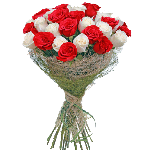 Фото товара 33 червоно-білі троянди в Івано-Франківську