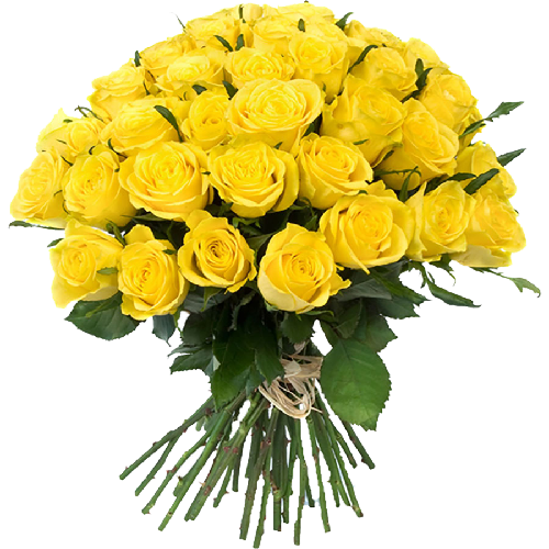 Фото товара 33 жовті троянди в Івано-Франківську