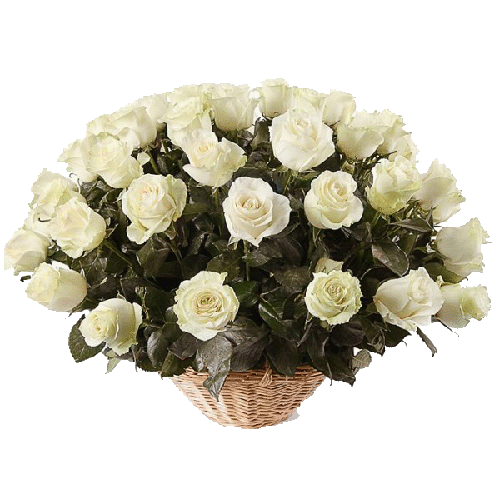 Фото товара 51 біла троянда в кошику в Івано-Франківську