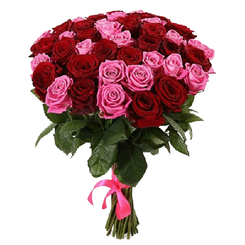 Фото товара 51 червоно-рожева троянда в Івано-Франківську