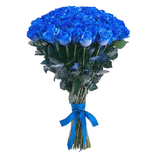 Фото товара 51 синя троянда (фарбована) в Івано-Франківську