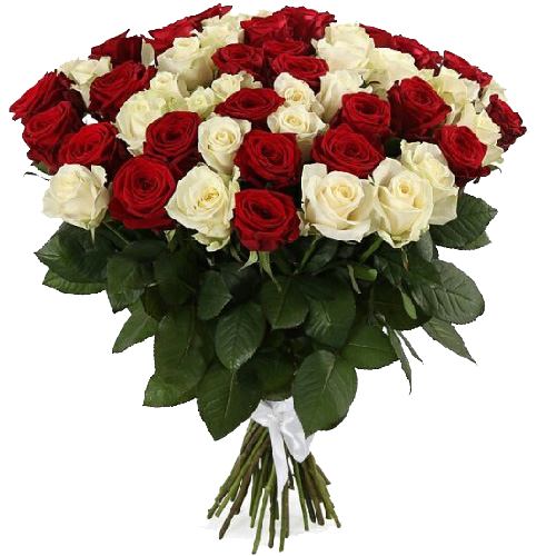 Фото товара 51 червоно-біла троянда в Івано-Франківську