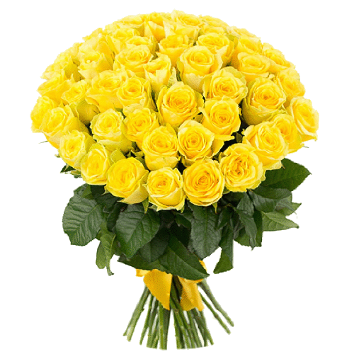 Фото товара 51 жовта троянда в Івано-Франківську
