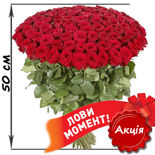 Фото товара 101 червона троянда (50см) в Івано-Франківську