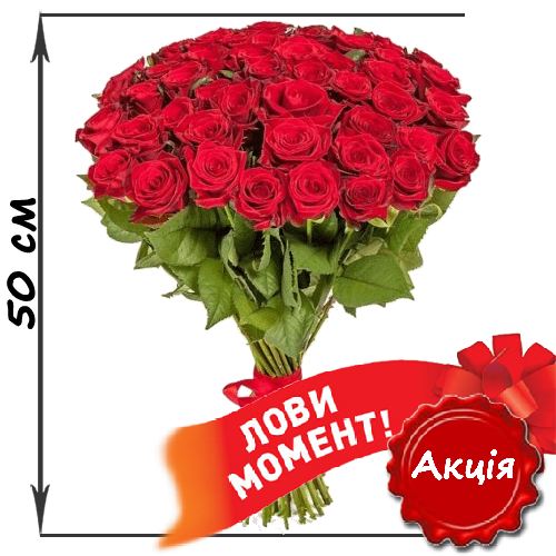 Фото товара 51 червона троянда (50см) в Івано-Франківську