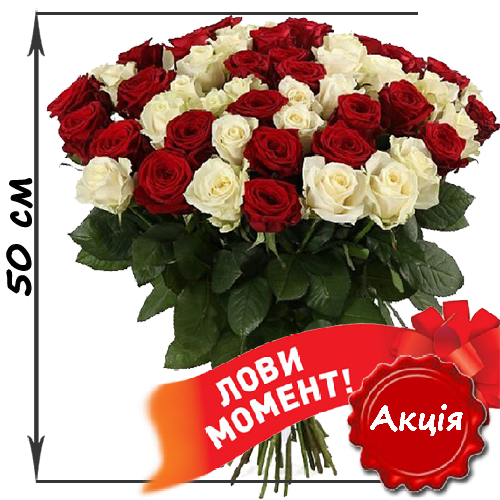 Фото товара 51 троянда мікс червона і біла (50 см) в Івано-Франківську