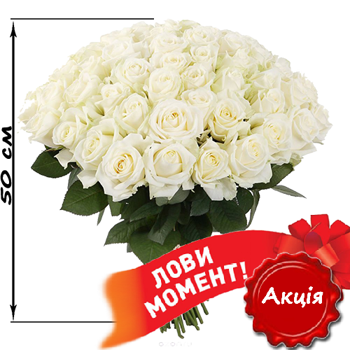 Фото товара 51 біла троянда (50 см) в Івано-Франківську