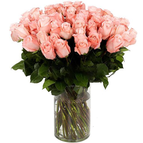 Фото товара Троянда імпортна рожева (поштучно) в Івано-Франківську