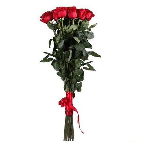 Фото товара 11 метрових троянд в Івано-Франківську