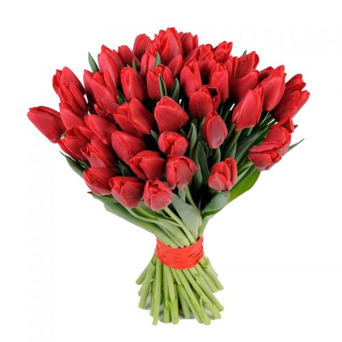 Фото товара 49 червоних тюльпанів в Івано-Франківську