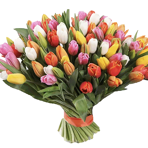 Фото товара 99 різнокольорових тюльпанів в Івано-Франківську
