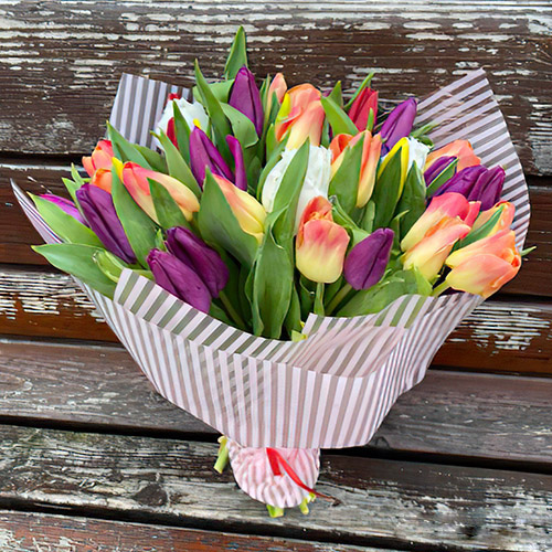 букет різнокольорових тюльпанів фото букета