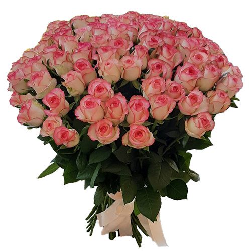 Фото товара 101 троянда "Джумілія" в Івано-Франківську