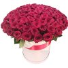 Фото товара 101 троянда червона у капелюшній коробці в Івано-Франківську