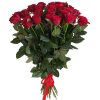 Фото товара 51 троянда "Фрідом" метрова в Івано-Франківську