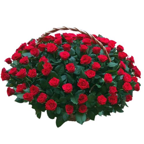 Фото товара 101 троянда "El Toro" в кошику в Івано-Франківську