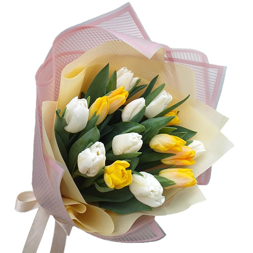 Фото товара 15 біло-жовтих тюльпанів в Івано-Франківську
