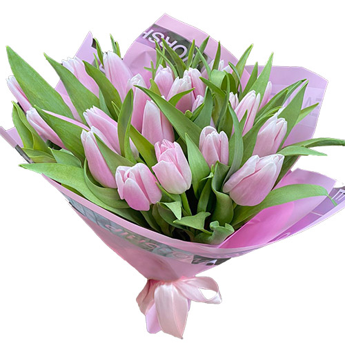 Фото товара 21 ніжно-рожевий тюльпан в Івано-Франківську