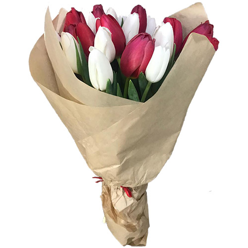 Фото товара 21 червоно-білий тюльпан у крафт в Івано-Франківську
