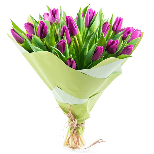 Фото товара 25 пурпурних тюльпанів в Івано-Франківську