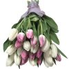 Фото товара 25 ніжно-рожевих тюльпанів в Івано-Франківську