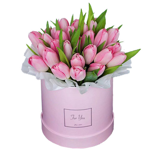 Фото товара 31 ніжно-рожевий тюльпан у коробці в Івано-Франківську