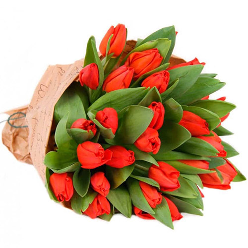 Фото товара 35 червоних тюльпанів у "газеті" в Івано-Франківську