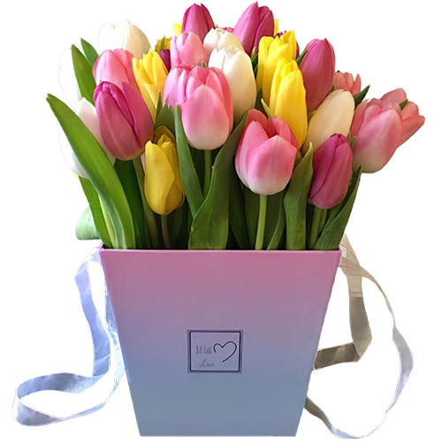 Фото товара 31 тюльпан "Весняний вітер" у квадратній коробці в Івано-Франківську