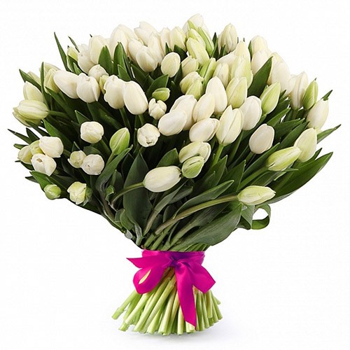 Фото товара 51 білий тюльпан "Джульєтта" в Івано-Франківську