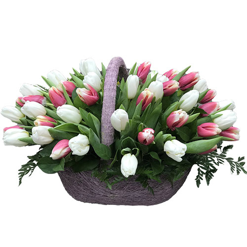 Фото товара 51 біло-рожевий тюльпан у кошику в Івано-Франківську