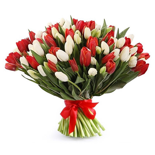 Фото товара 75 червоно-білих тюльпанів (зі стрічкою) в Івано-Франківську