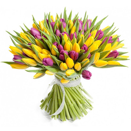 Фото товара 75 фіолетово-жовтих тюльпанів в Івано-Франківську