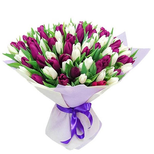 Фото товара 75 пурпурно-білих тюльпанів в Івано-Франківську